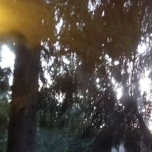 Meet your Posher, West coast